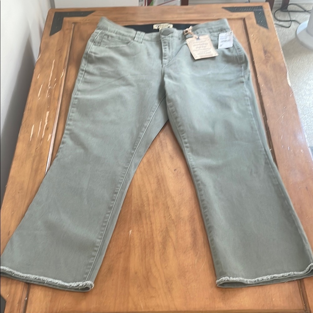 Democracy NWT AbTechnology High Rise Cropped Itty Bitty Flare Pants Size 16W